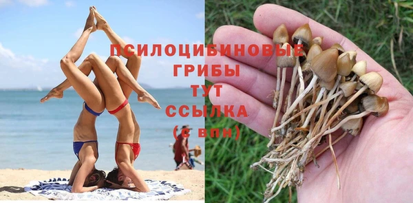 MESCALINE Ростов