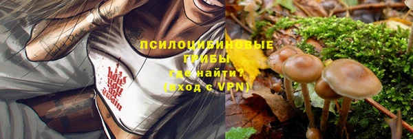 ALPHA-PVP Рославль