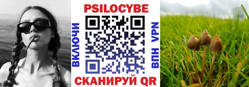 Галлюциногенные грибы GOLDEN TEACHER  наркошоп  Мосальск 